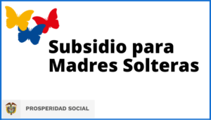 subsidio para madre soltera transito a renta ciudadana 500 mil pesos